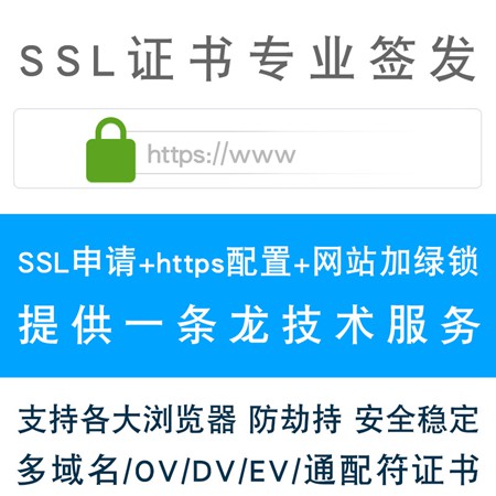 铜仁JoySSL标准版通配符证书