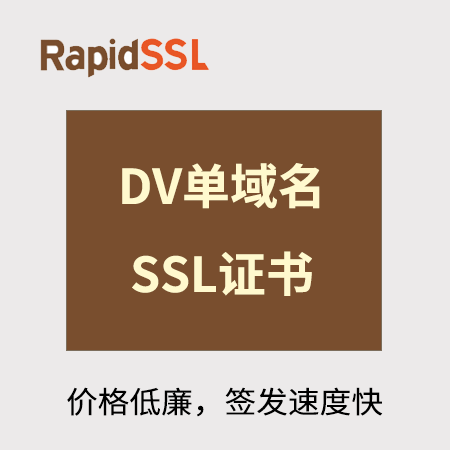 六盘水市RapidSSL_DV单域名SSL证书
